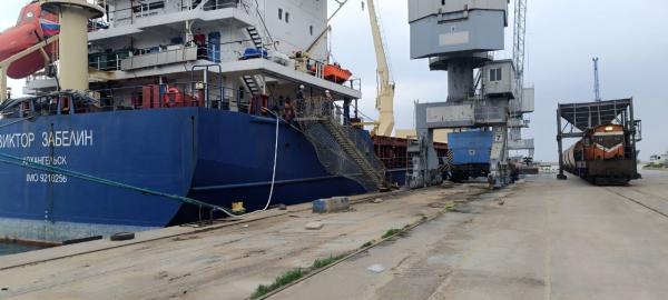 1,1 مليون طن توقعات إنتاج الحمضيات لهذا الموسم.. ماذا سيكون مصيرها ..؟؟