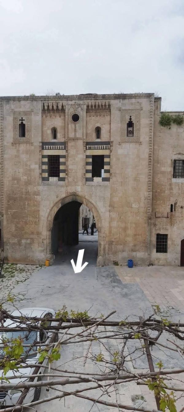 عالم آثار سوري يدق ناقوس الخطر!