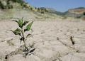 الزراعة تحدث مديرية صندوق التخفيف من آثار الجفاف والكوارث الطبيعية على الإنتاج الزراعي